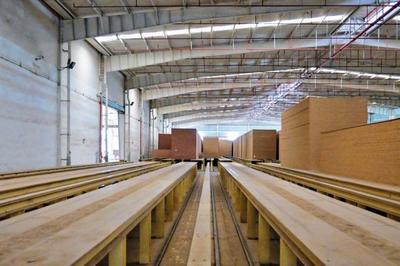 建丰新材料 建一座工厂，护一方山林，富一方百姓