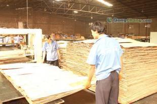 探寻优质建材 河北廊坊金亨牌915*1830建筑木模板解析